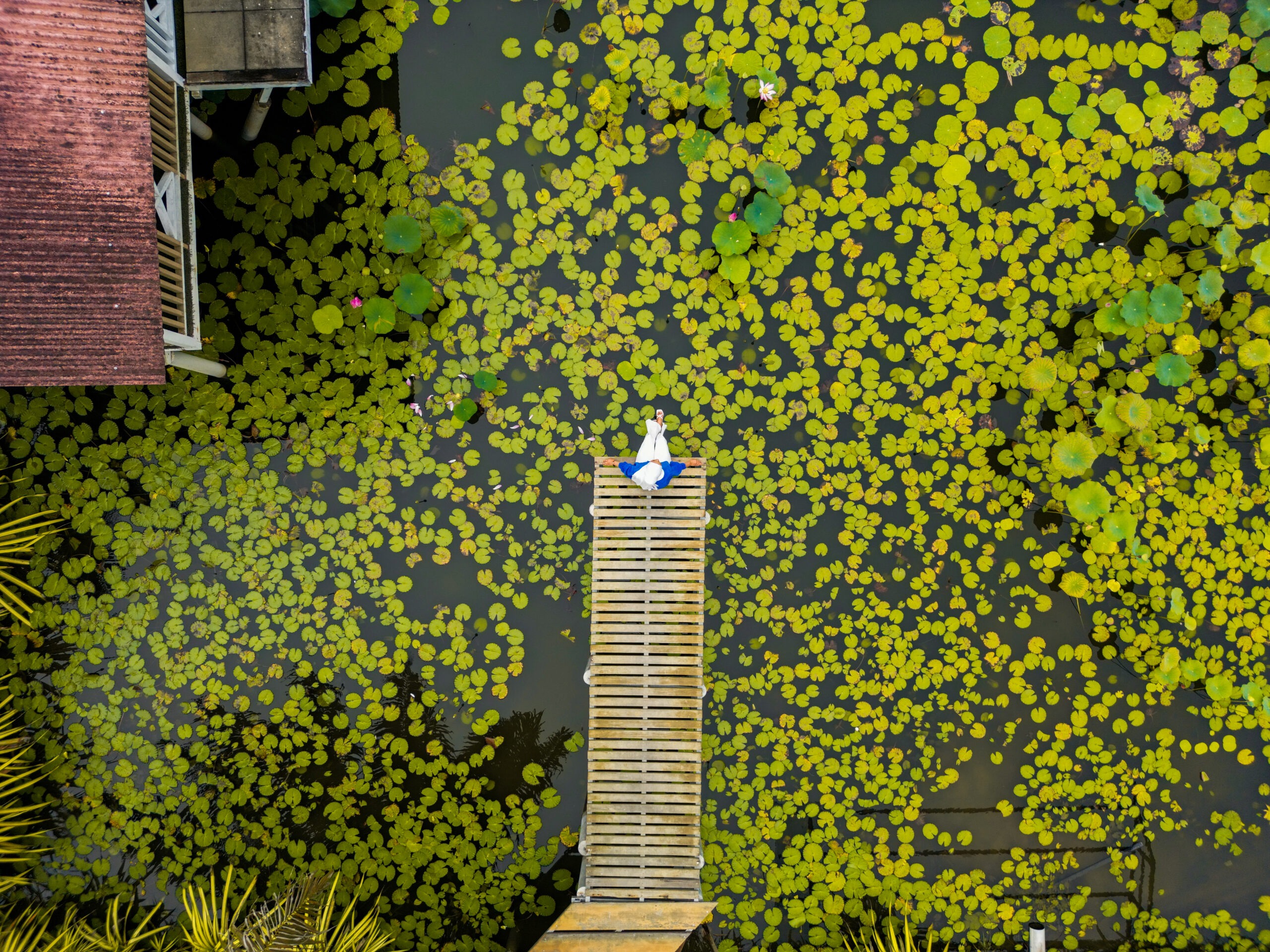 Starfish Leisure Glamping