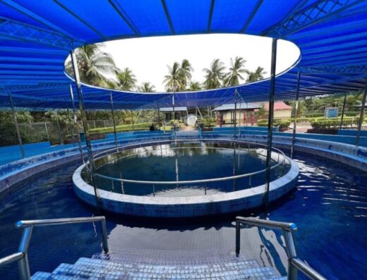 Sungai Gersik Hot Spring