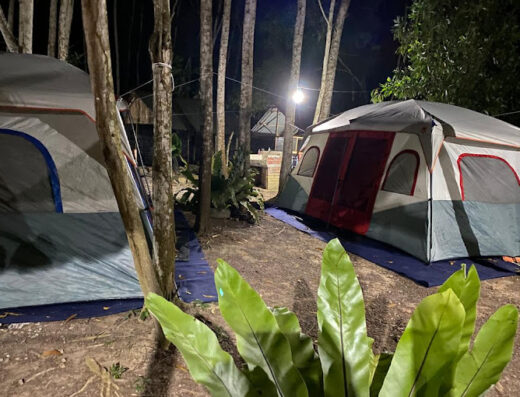 Aminah Rahmat Agro Farm