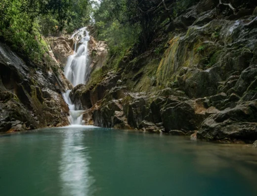 Taman Eko Rimba Gunung Pulai
