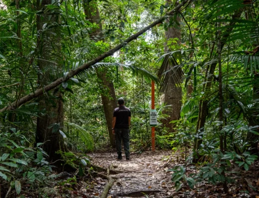 Taman Eko Rimba Gunung Pulai