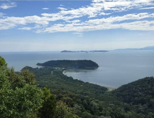 Arong Mountain Forest Eco Park