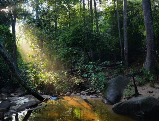 Gunung Ledang Lagenda (Waterfall)