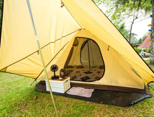 Starfish Leisure Farm