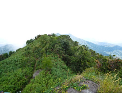 Gunung Ledang National Park