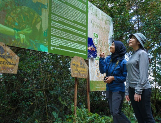 Gunung Ledang National Park