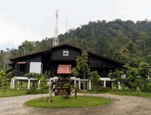 Endau Rompin Selai National Park