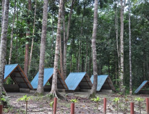Arong Mountain Forest Eco Park
