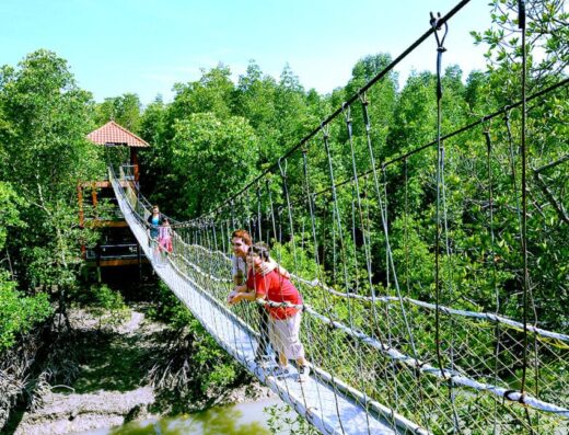 Kukup Island Johor National Park