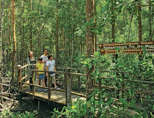 Tanjung Piai National Park