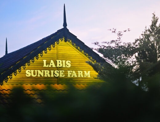 Labis Sunrise Farm