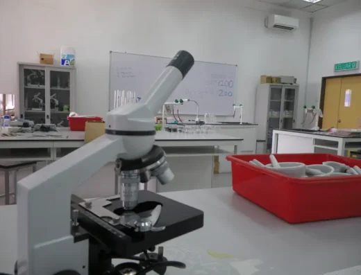 Crescendo International College